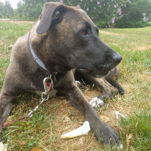 Meet your Posher, Mika - Picture 5 of 8